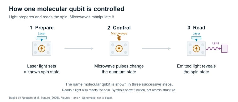 How one molecular qubit is controlled